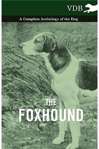The Foxhound - A Complete Anthology of the Dog