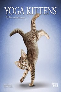 2018 Yoga Kittens Mini Wall Calendar