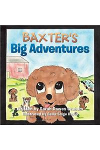 Baxter's Big Adventures