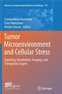 Tumor Microenvironment and Cellular Stress