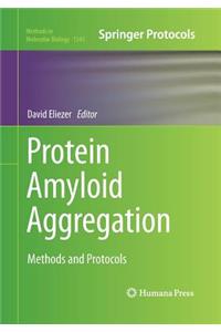 Protein Amyloid Aggregation