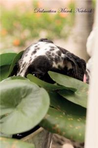 Dalmatian March Notebook Dalmatian Record, Log, Diary, Special Memories, to Do List, Academic Notepad, Scrapbook & More