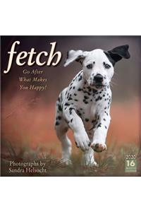Fetch