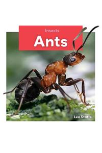 Ants