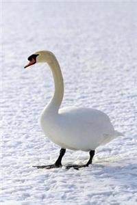 Journal Winter Goose Snow Walk