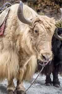 A Yak in the Himalayas Journal