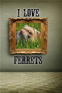 I Love Ferrets