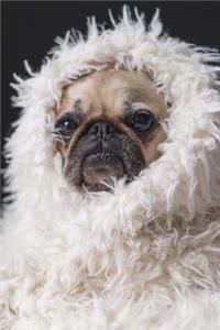 A Pug in a Fluffy White Blanket Cute Puppy Dog Pet Journal