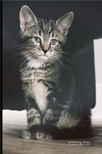 Journal Pages - Cute Kitty Friend