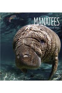 Manatees