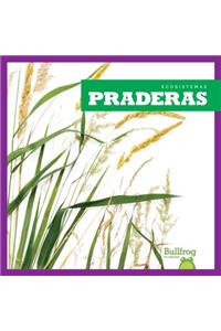 Praderas (Grasslands)