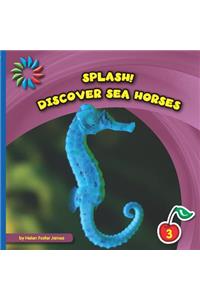 Discover Sea Horses