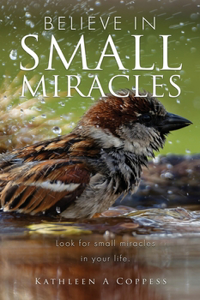 Believe in Small Miracles