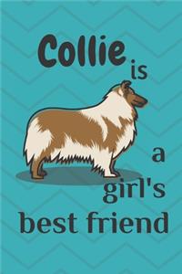 Collie is a girl's best friend