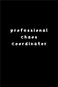 Professional Chaos Coordinator.