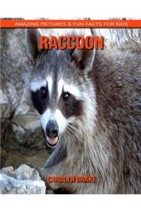 Raccoon