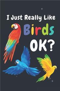 I Just Really Like Birds Ok