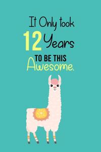 It Only Took 12 Years to be this Awesome