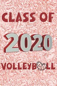 Class of 2020 Volleyball