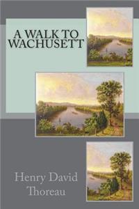 A Walk to Wachusett