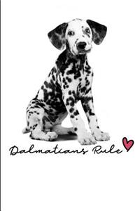 Dalmatians Rule.