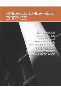 Empleados PÃºblicos, de Confianza, Transitorios Y PrivatizaciÃ³n de Las Agencias Gubernamentales En Puerto Rico