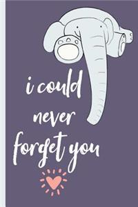 I Could Never Forget You