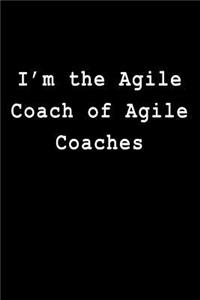 I'm the Agile Coach of Agile Coaches