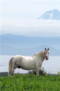 White Horse in a Green Field Equine Journal