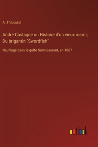 André Castagne ou Histoire d'un vieux marin; Du brigantin 