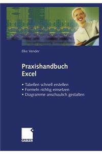 Praxishandbuch Excel