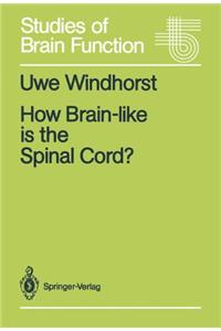 How Brain-Like Is the Spinal Cord ?: Interacting Cell Assemblies in the Nervous System