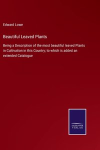 Beautiful Leaved Plants