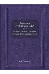Деревья и кустарники СССР