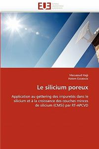 Silicium Poreux