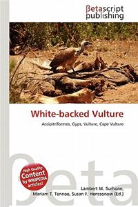 White-Backed Vulture