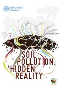 Soil Pollution: A Hidden Reality