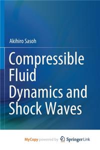 Compressible Fluid Dynamics and Shock Waves