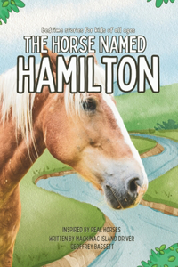 Horse Named Hamilton