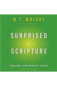 Surprised by Scripture