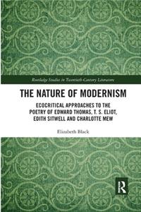 Nature of Modernism