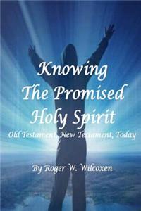 Knowing the Promised Holy Spirit