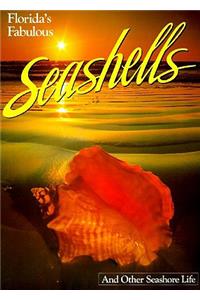 Florida's Fabulous Seashells