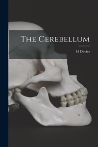 Cerebellum