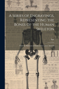 Series of Engravings, Representing the Bones of the Human Skeleton
