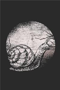 Snail Moon
