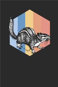 Squirrels