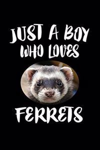 Just A Boy Who Loves Ferrets