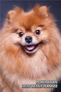 Pomeranian 2020 Weekly Planner