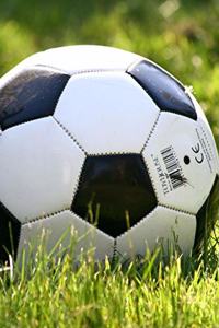 Soccer Ball on Field
